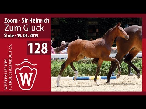 128 Zum Glück Stute v . Zoom - Sir Heinrich