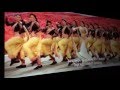 Chella Kutti Video Song