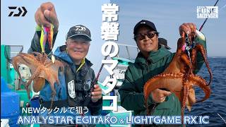タコ
