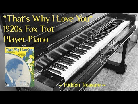 That's Why I Love You | 🎹 Player Piano | US Roll 43902 | Robert Billings 