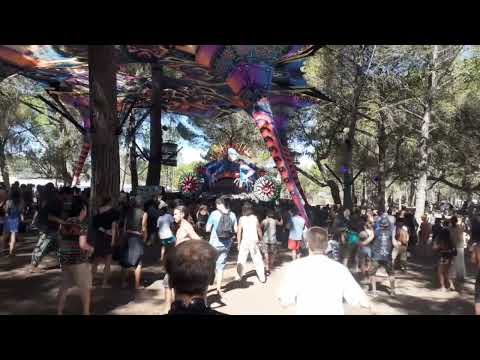 X DREAM - The Frog @ ZNA gathering 2022