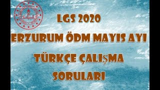 #LGS2020 #MEB #Mayıs #2020 #LGS Çalışma Soruları #Türkçe Destek Paketi Çözümleri (ERZURUM)