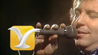 Dyango, Alma Corazón y Vida, Festival de Viña 1984