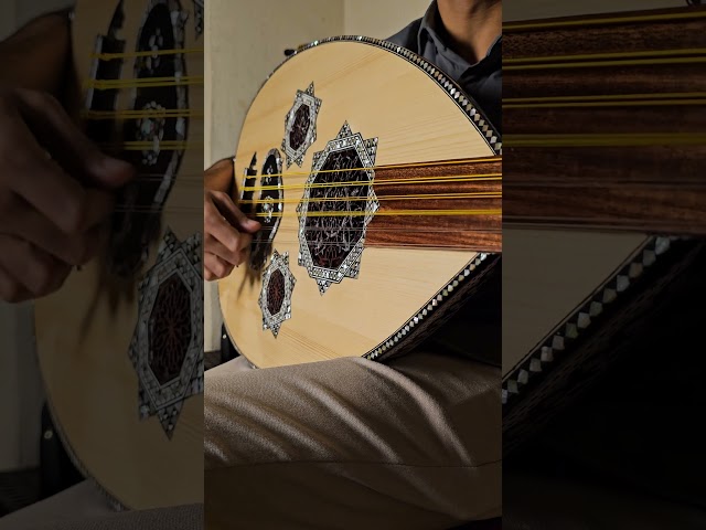 عود سوبر لوكس صدف