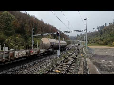 Effingen 31 10 2024