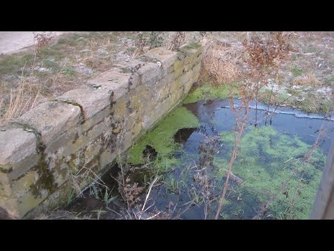 Temeon Outdoor - Spaziergang 28.12.2015 kurze Tour durch die Leinemasch