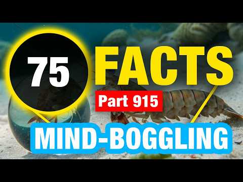 75 Mind Blowing Amazing Facts | Amazing Mind Blowing Facts
