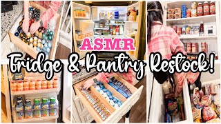 FRIDGE & PANTRY RESTOCK | CLEAN WITH ME 2022 | CLEAN AND ORGANIZE WITH ME! | ASMR VIDEO