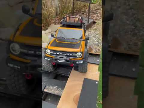 アトラクサスピディ科について詳しく解説