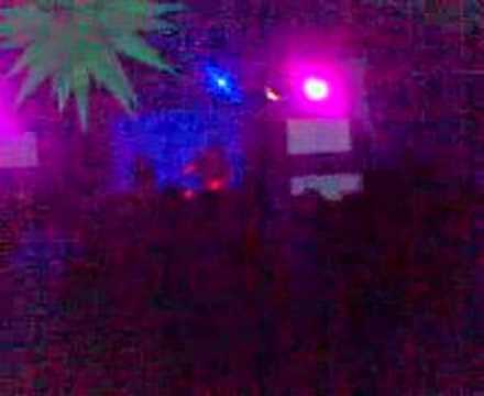 vibe tribe VS freedom fighters