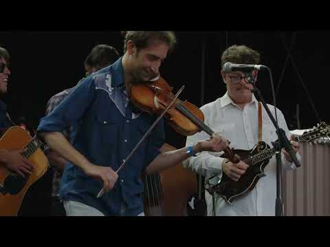 The Often Herd - Sail Away - La Roche Bluegrass Festival 2025