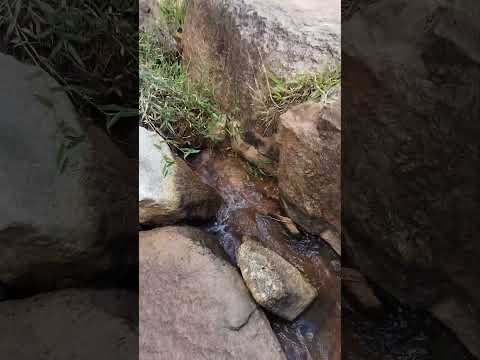 CASCATA FAZENDA COLÔNIA NEPOMUCENO MG #belezasdeminasgerais #cachoeira #turismo MINAS GERAIS