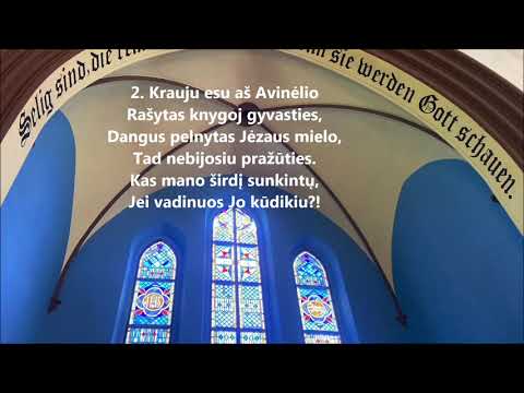 Krikšto giesmė "Danguj esu jau įrašytas" (tekstas ir natos). Nr. 218