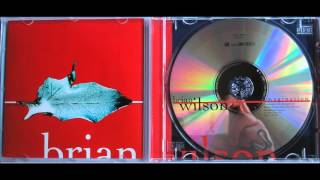 Brian Wilson - Dream angel