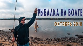 Сезон рыбалка в ярославской области форум