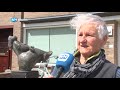 Bijen verstoren dienst van kerk in Purmerend