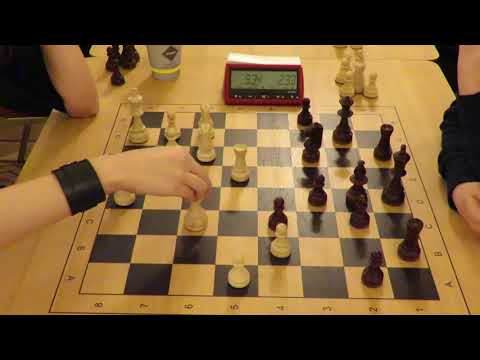 2017-12-10 Selifonova Aleksandra - Volodar Mursin