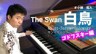 Download lagu 白鳥：サン＝サーンス／ゴドフスキー編  The Swan：Saint-Saëns/Godowsky   　pf. 小柳拓人 #白鳥 #ゴドフスキー #小柳拓人  #自閉症  ＃ピアノ mp3
