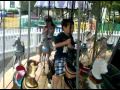 VID 00038 20110611 1249 3GP