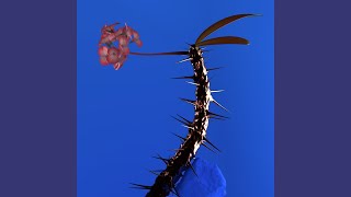 Flume – Weekend (feat. Moses Sumney) [2017 Remaster]