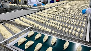 Amazing frozen dumpling manufacturing process at a Korean dumpling factory