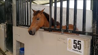 Download lagu BERKUNJUNG KE STABEL JOKO TINGKIR PERTERNAKAN KUDA MILIK AL-FATAH TEMBORO mp3 Download lagu BERKUNJUNG KE STABEL JOKO TINGKIR PERTERNAKAN KUDA MILIK AL-FATAH TEMBORO mp3