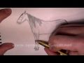Horse drawing with pencil - Things to Draw 