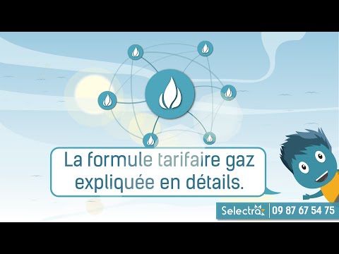 Les tarifs réglementés du gaz naturel : composition et évolution