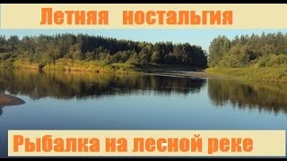 Турбазы с рыбалкой в костромской области
