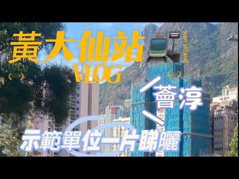 Skyehi Youtube Video