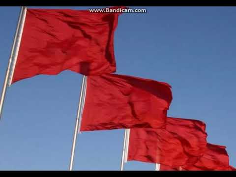 Når jeg ser et rødt flag smælde. Eva Madsen