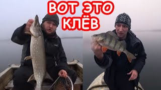 Ссылка