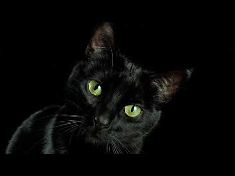 Videoclip de Forgotten Tears (Recovered Version) — Hocico