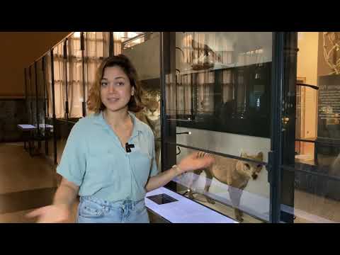 #Naturwissen: Evolution – Analogie und Homologie