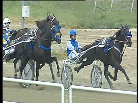 Trotto 22/06/2017 - 5ª corsa