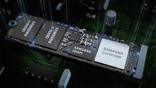 삼성전자 PM9A1 M.2 NVMe 벌크 (1TB)_동영상_이미지