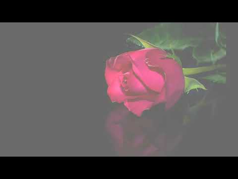 Nicu Petrescu - Doamne inima mea toată - mel Nicu Petrescu