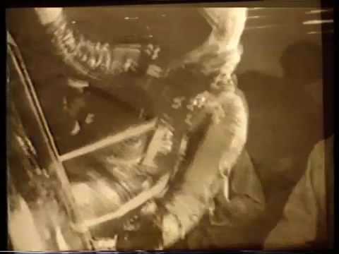 The Terminals (nz)  Do the void