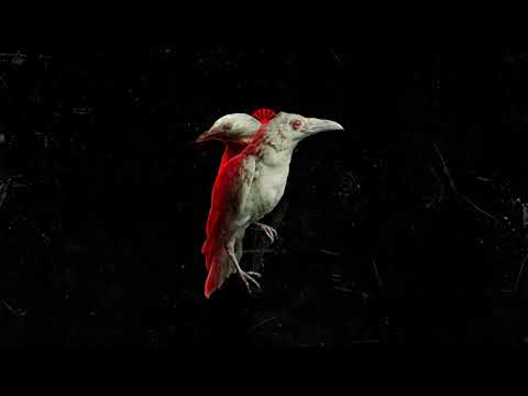 Tzigoiners - Cioara Alba | Official Audio