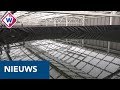 Westland laat zich van duurzame kant zien tijdens Kom in de Kas - OMROEP WEST