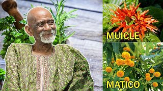 Newest Compound With Muicle And Matico By Dr Sebi