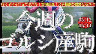 今週のゴールドシップ産駒 (06/13,14)【行くぞメイショウタバル！宝塚記念！父子連覇の偉業なるか!?／マイネルエンペラーほか】