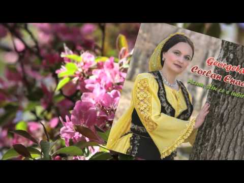 Georgeta Corlan Enache - Ce-am auzit eu aseară (Official Audio)