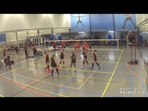 Volley2b   VCN 4  8 2 2020