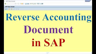 How to reverse Accounting document in SAP