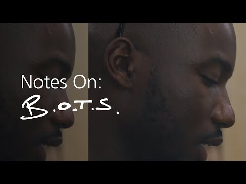 Notes On: B.O.T.S | Lemzi