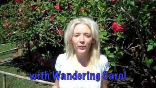 preview picture of video 'Nicaragua Adventure with Wandering Carol'