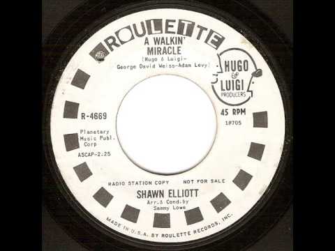 Shawn Elliott - A Walkin' Miracle