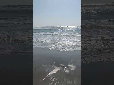 Memorable moment 😊 #youtubeshorts #cox #enjoy