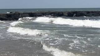 Ocean City Patch: Shark Sighting, July 10, 2019